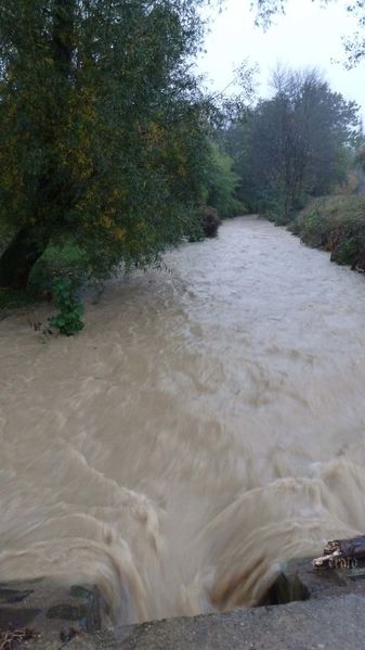 4nov2011-pluie----023a.jpg