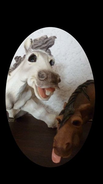 17fev2012--cheval-004a.jpg