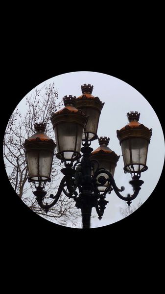 5mars2012--Carcassonne-005b.jpg