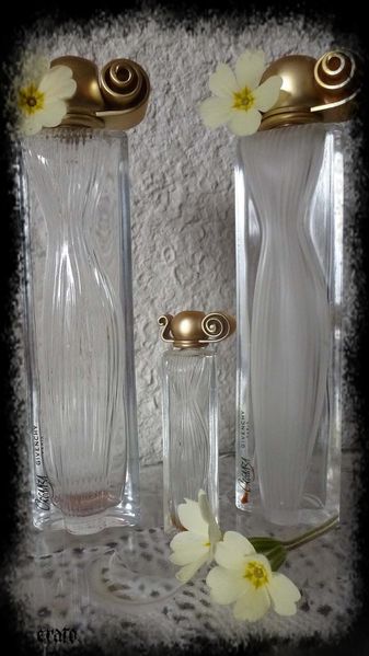 7mars2012-flacons-parfum-003ab.jpg