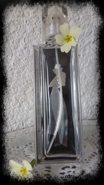 7mars2012-flacons-parfum-008ab.jpg
