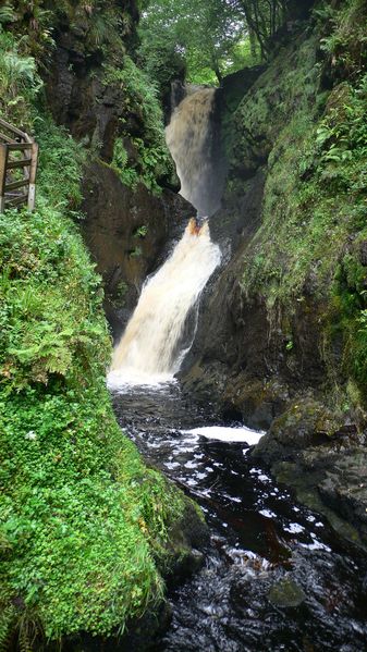 glenariff forest park antrim