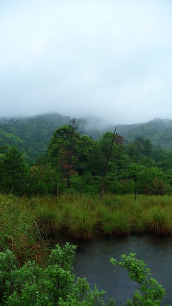 P1060498