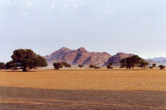 Desert Namib - arrivee
