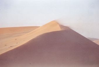 Desert Namib - dunes ventees