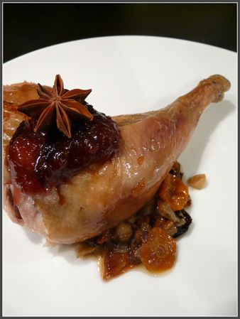 Canard1c