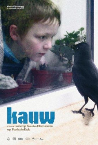 KAUWBOY--KAUW-.jpg
