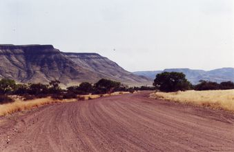 Desert Namib - piste arrivee