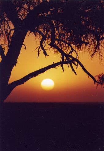 Desert Namib - coucher de soleil