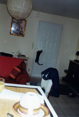 img026.jpg