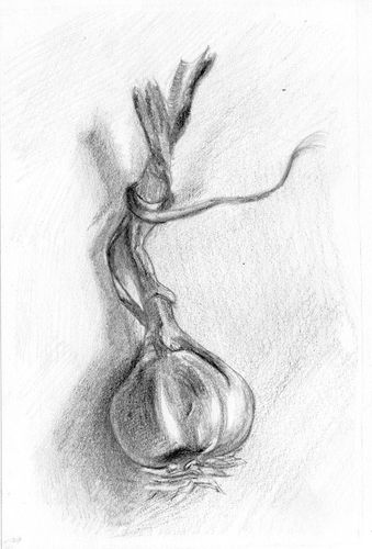 dessin d'après Julian Merrow Smith