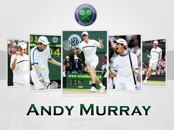 andy-murray-wimbledon-1024x768.png