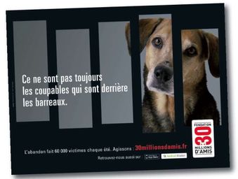 30millions-amis.jpg