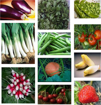 fruits-et-legumes-de-saison.png