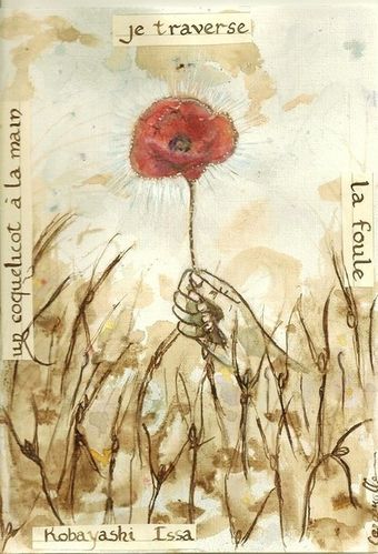 coquelicot 001