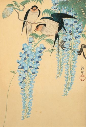Ohara-Koson_glycine.jpg