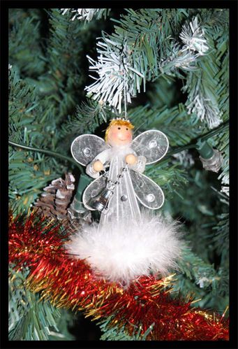 Noel-2010-009a.jpg