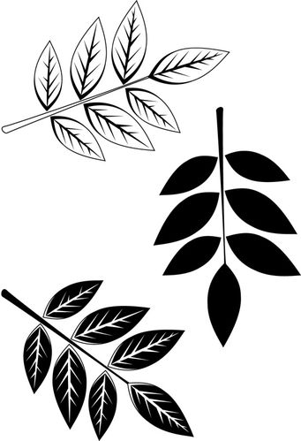 Feuille1