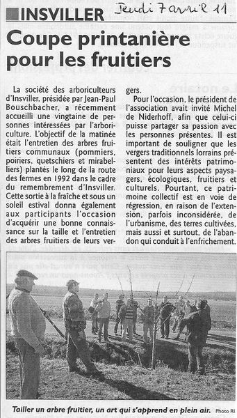 TAILLE-FRUITIERS-INSVILLER.jpg