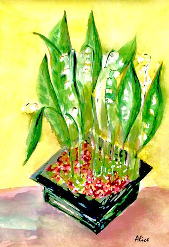 Aqua-Muguet-Alice