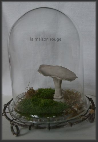 champignon