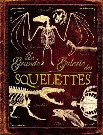 La-grande-galerie-des-squelettes--1.jpg
