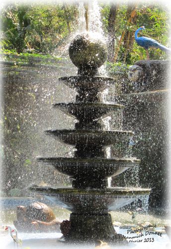 Wat_KK_04_modifie-1-copie.jpg