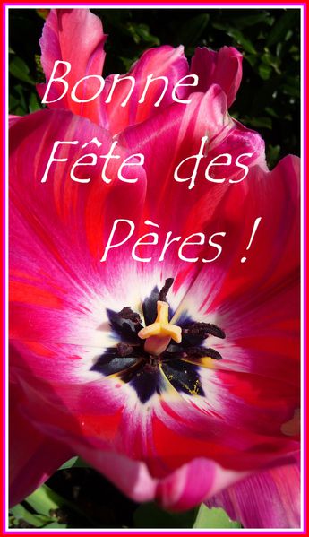 fete-des-peres-deux.jpg