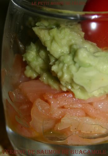 verrine de saumon au guacamole 1