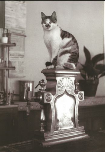 BRASSAI.jpg