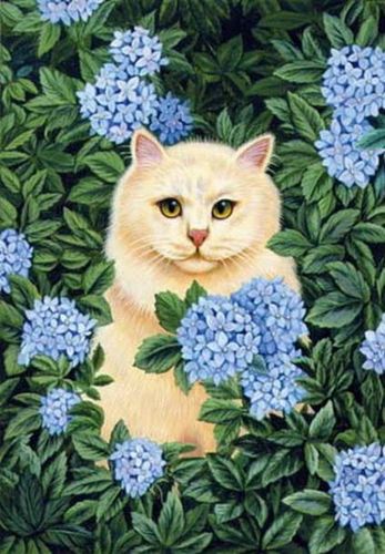 db_Brownd_Elizabeth_Persian_Cat_-_Blue_Hydrangea2.jpg