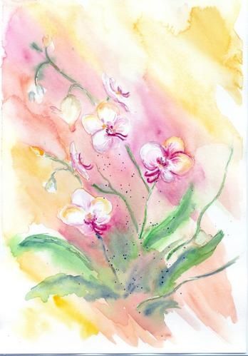 Ce Pas A Pas D Orchidee Qui Sont Mes Fleurs Preferees J En Ai Possedee ce pas a pas