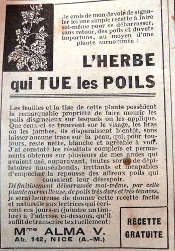 herbe-contre-les-poils5.JPG