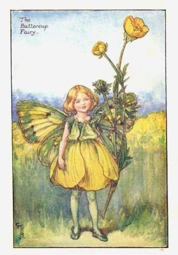 buttercup flower fairy