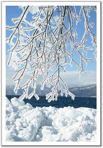 paysage hiver