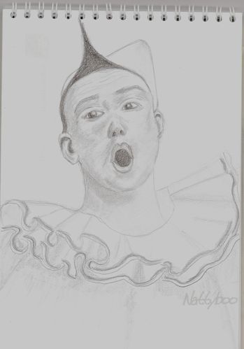 l ombre du clown blanc