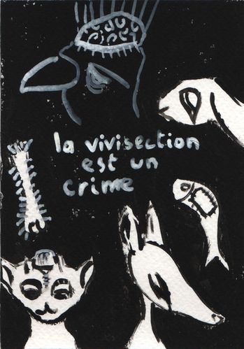 carte postale vivisection