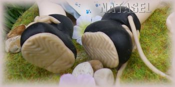 oeufs-casses-5.jpg