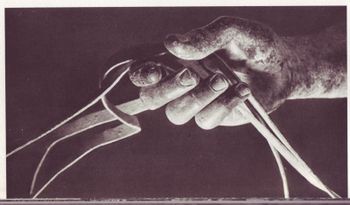 Aurige-2-copie-1.jpg