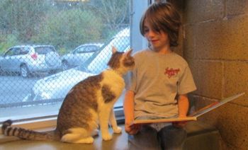 bambino_gatto1.jpg