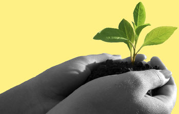 divers plante 00 art 02