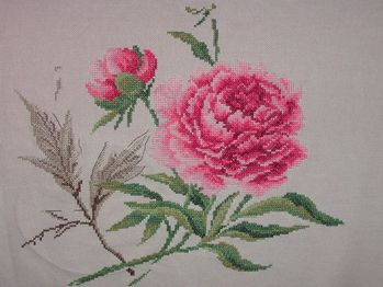 DSCN2409