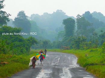 pluie au Nord-Kivu