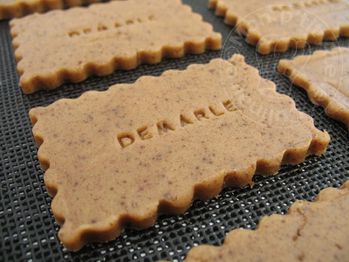 Speculoos2.JPG