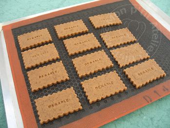 Speculoos3.JPG