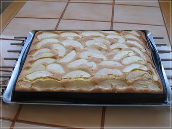 1_Gateau-express-aux-fruits_Cecile-AVRANCHES-copie-2.jpg