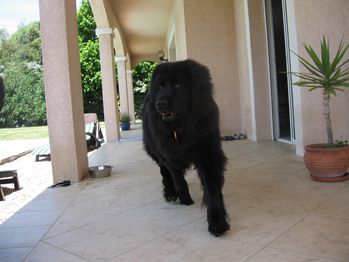 L-album-de-Niky-3987.JPG