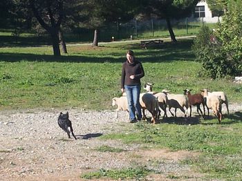 20131012_151848.jpg