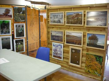 DSCF5386.jpg