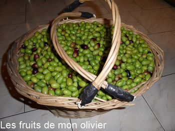 Panier olives 2-border